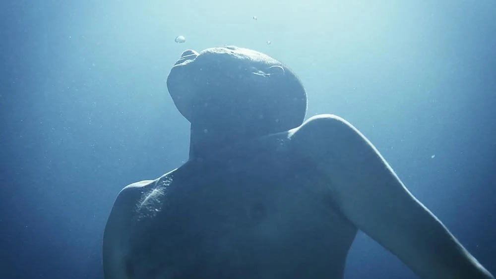 Underwater Videography Expertise
